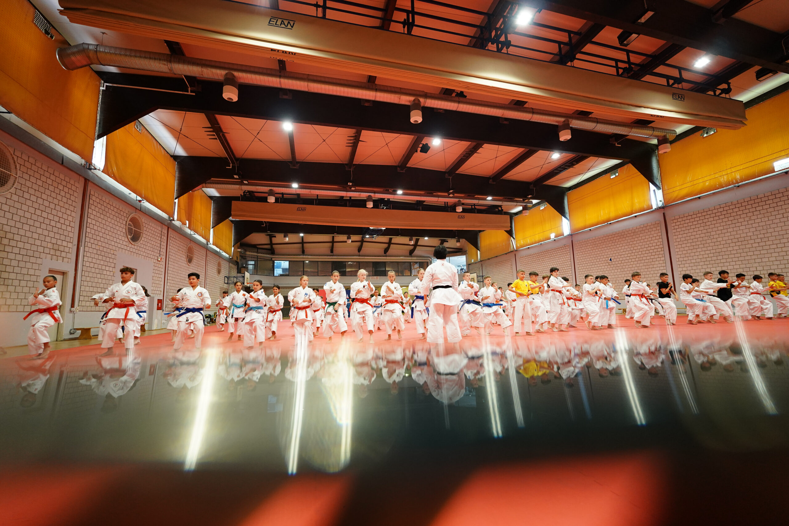 WKF TRAINING CAMP